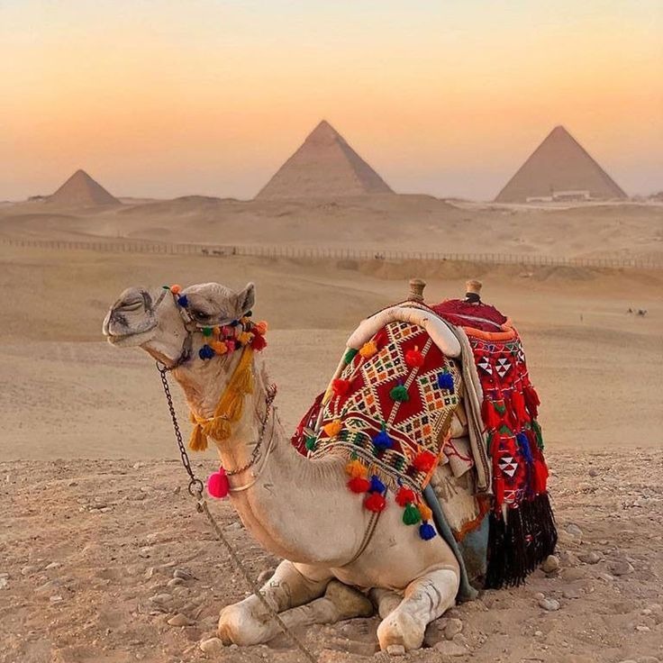 Egypt Tours Top Attractions to Experience the Real Egypt